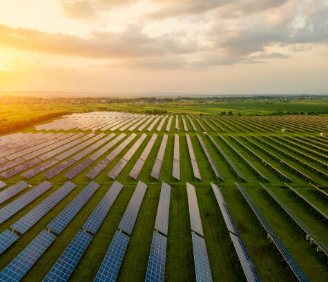 Aerial view of large electrical power plant with many rows of solar photovoltaic panels for producing clean ecological electric energy in morning. Renewable electricity with zero emission concept.
